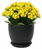 Keramik-Blumentopf, Schwarz Matt, Durchmesser 14,5 Cm, Höhe Produktbild-Vorschau 1