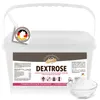GOLDEN PEANUT Dextrose Monohydrat Traubenzucker Pulver ohne Produktbild-Vorschau 1