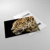 Bilder auf glas - Tiere Leopard wilde Katze wilde Tiere - Produktbild-Vorschau 2