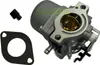 Vergaser für Briggs&Stratton 495706 498027 498231 499161 Náhled obrázku produktu 1