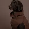 PAIKKA Hundepullover "Seawool Shirt" chocolate, Produktbild-Vorschau 2