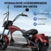 M1P E-Chopper Elektro-Kleinkraftrad 45 km/h, 2000W, 60V Produktbild-Vorschau 7