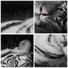 Bild auf Leinwand - Leinwandbild - Einteilig - Weiß Tiger Produktbild-Vorschau 8