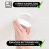 com-four® 10x magnetische bevestigingshouder voor Productafbeelding-voorbeeld 2