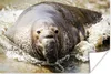 MuchoWow® Poster Tiere - Wasser - Strand 120x80 cm - Bilder Produktbild-Vorschau 1