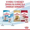 ROYAL CANIN Medium Puppy 10x140 g Voir les images du produit 9