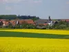 Deutscher Honig im 2,5 kg-Honigeimer - Blütenhonig aus Produktbild-Vorschau 3