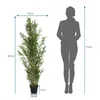 bümö plants Kunstpflanze Bambus (Bambusoideae) Produktbild-Vorschau 3