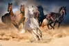 Paarden - Horde - Dieren - Poster - Afmetingen: 91,5 x 61 Productafbeelding-voorbeeld 1