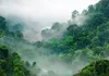 Vlies Fototapete - Morning Fog 300x210 cm Landschaften Produktbild-Vorschau 5