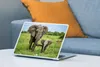 MuchoWow® Laptop Aufkleber Sticker Cover Elefant - Natur - Produktbild-Vorschau 4