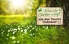 Blechschild Lustiger Spruch “Wenn der Gärtner schläft, sät Produktbild-Vorschau 4