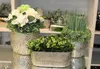 Three artificial potted plants in silver textured pots are displayed on a reflective surface. Produktbild-Vorschau