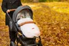 A person pushing a baby stroller in an autumn park with fallen leaves. Náhled obrázku produktu