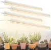 Four LED grow lights are shown above a collection of potted succulents and other small plants. Náhled obrázku produktu