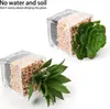 2er Set Künstliche Sukkulenten Glas Topf Deko Wohnzimmer Produktbild-Vorschau 6