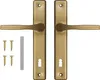 A set of two gold-colored door handles with a keyhole cutout, along with four screws and a metal strip. Anteprima dell’immagine prodotto