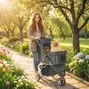 PawHut Hundewagen Faltbar Hundebuggy bis 10kg mit Produktbild-Vorschau 2