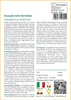 SAFLAX  - Orgoglio delle Barbados - 10 semi - Caesalpinia Anteprima dell’immagine prodotto 3
