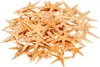 Sugar Seestern 8-10 cm, 50 Stück, echte Seesterne Produktbild-Vorschau