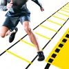 Trainingsleiter Koordination 6m Gelb Fußball Polyester Produktbild-Vorschau 25