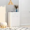 vidaXL Skriňa na topánky biela 60 × 35 × 84 cm Drevo Náhľad obrázku produktu 2
