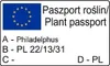 Filadelfo (Philadelphus) Rosace 1L Anteprima dell’immagine prodotto 8
