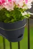 elho® Vibia campana Pflanzkasten Anthrazit 70 cm mit Halter Produktbild-Vorschau 5