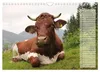 Glückliche Kühe (Wandkalender 2027 DIN A4 quer), CALVENDO Produktbild-Vorschau 6