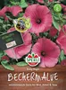 SPERLI Bechermalvensamen Ruby Regis Lavatera trimestris 60 Produktbild-Vorschau 3