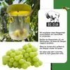 BigDean 3er Set Wespenfallen für draußen in Grün 9x13cm - Produktbild-Vorschau 6
