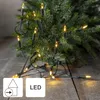 Guirlande lumineuse « P-LED Indoor », verte, 20 LED P, 2,85 Voir les images du produit 3