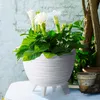 A white planter with white flowers sits on a white table, with a brick wall in the background. Produktbild-Vorschau