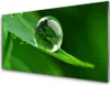 Acrylglasbilder 100x50 Wandbild Druck Blatt Wassertropfen Produktbild-Vorschau 1