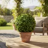 Buchsbaumkugel grün - Ø 20cm - Garten Deko Buchsbaum Kugel Produktbild-Vorschau 7