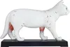 Akupunktur Anatomie TCM Katzenkörper Modell Figur Produktbild-Vorschau 3