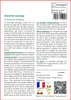 SAFLAX  - Chicorée sauvage - 250 graines - Avec substrat - Voir les images du produit 3