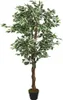 vidaXL Albero di ficus artificiale 756 foglie 150 cm Verde Anteprima dell’immagine prodotto 5