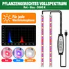 2x 50CM LED Pflanzenlampe Magnetische Vollspektrum,Dimmbar Produktbild-Vorschau 2