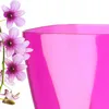 KADAX Blumentopf Orchidee quadratisch 12 cm PS rosa Produktbild-Vorschau 5