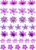 Gaufrettes Fleurs roses Lilas Décoration de gâteau Voir les images du produit 2