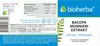 Bioherba Bacopa Monnieri Extrakt 250 mg 100 Kapseln Produktbild-Vorschau 2