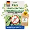 POWER SF-Nematoden gegen Trauermücken,3 Mio. für 30 Produktbild-Vorschau 1