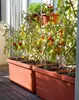 PFLANZKAST Bewässerungs-Blumenkasten „Berberis DUO“ Produktbild-Vorschau 10