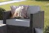 MuchoWow® Outdoor Kissen - Wolf - Stein - Weiß - 60x40 cm - Produktbild-Vorschau 5