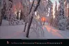 Magische Wälder 2027 Produktbild-Vorschau 2