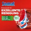 Somat Tabs Gold Kompakt & Sortiert, 1x 105 Tabs Produktbild-Vorschau 6