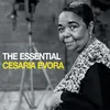 The Essential Produktbild-Vorschau 1
