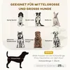 A collage of different dog breeds with text overlays and a diagram of a dog indicating body length. Náhled obrázku produktu