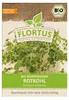 Artikelbild 1 von 'BIO Keimsprossen Rotkohl' aus der Kategorie Keimsprossen Produktbild-Vorschau
